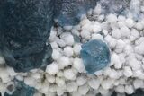 Blue, Cubic/Octahedral Fluorite Encrusted Quartz - Inner Mongolia #213854-2